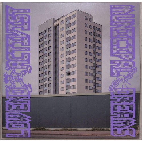 Low end activist municipal - low, /