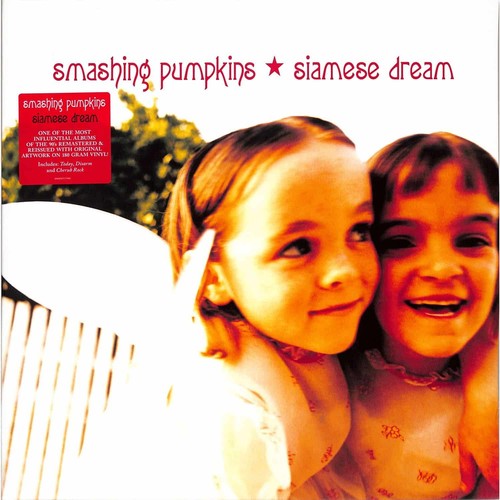 The smashing pumpkins - the,